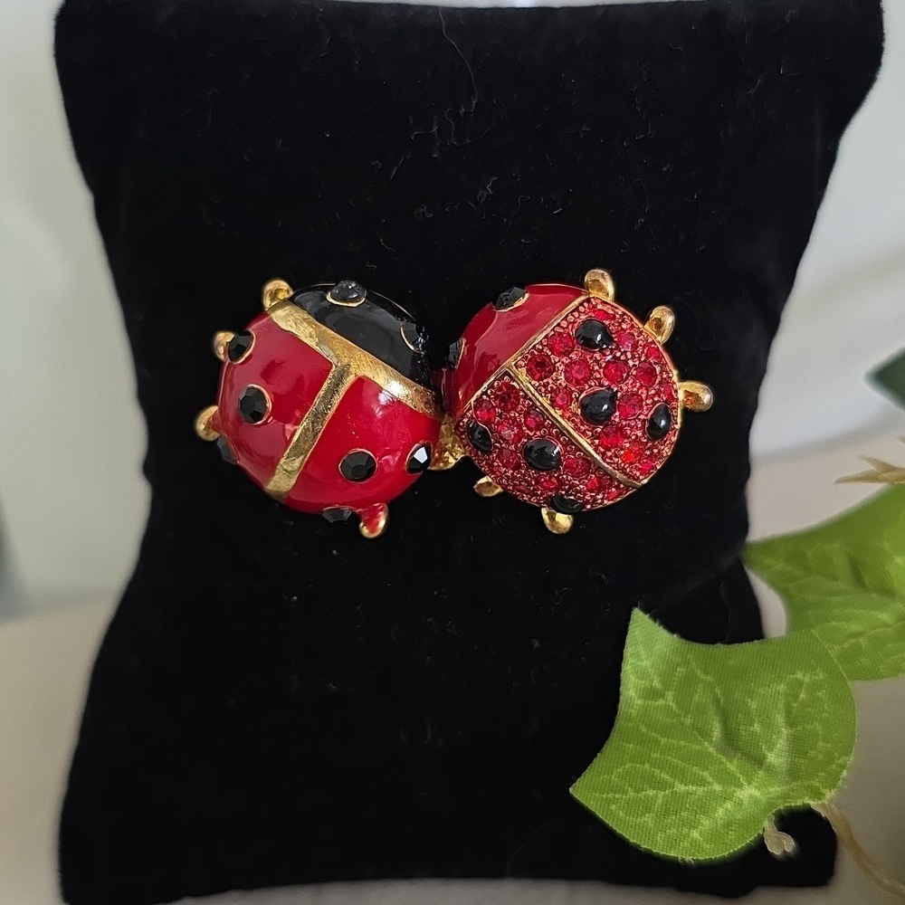 Vintage Brooch Pin Two Red and Black Ladybug
